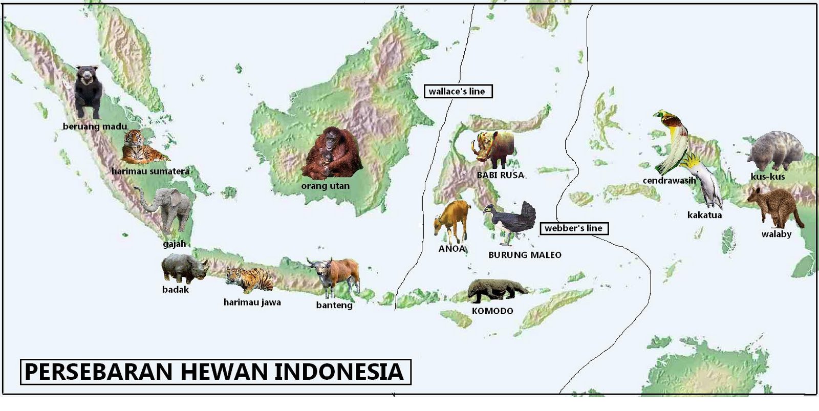 Dan merata yang faktor-faktor tumbuh adalah fauna indonesia bumi menyebabkan tidak flora di seto_hidhayad