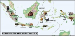 peta-sebaran-fauna-di-Indonesia